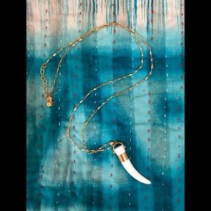 Stella and dot horn necklace